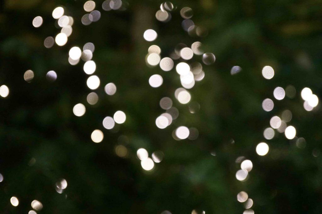 Foerderverein Grundschule Knüllwald Rengshausen e.V., Weihnachtsbaum, Tradition,