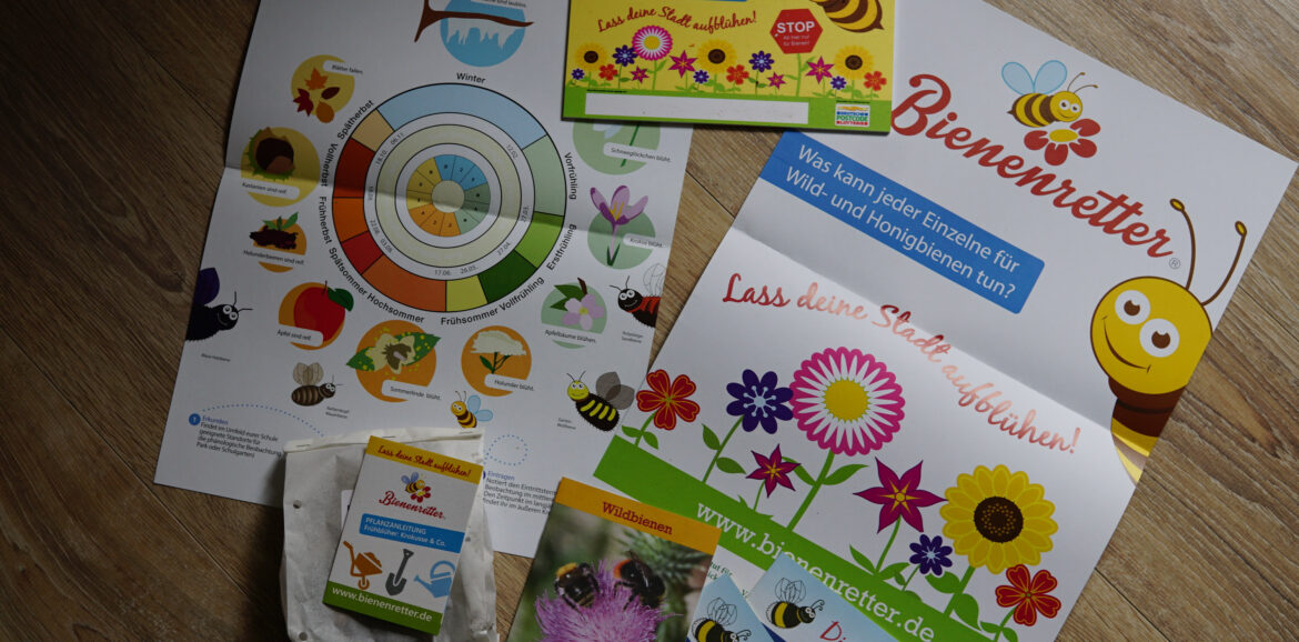 Bienenretter, Umwelttag, Förderverein Grundschule Rengshausen