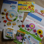 Pflanzaktion Bienenretter & Umwelttag
