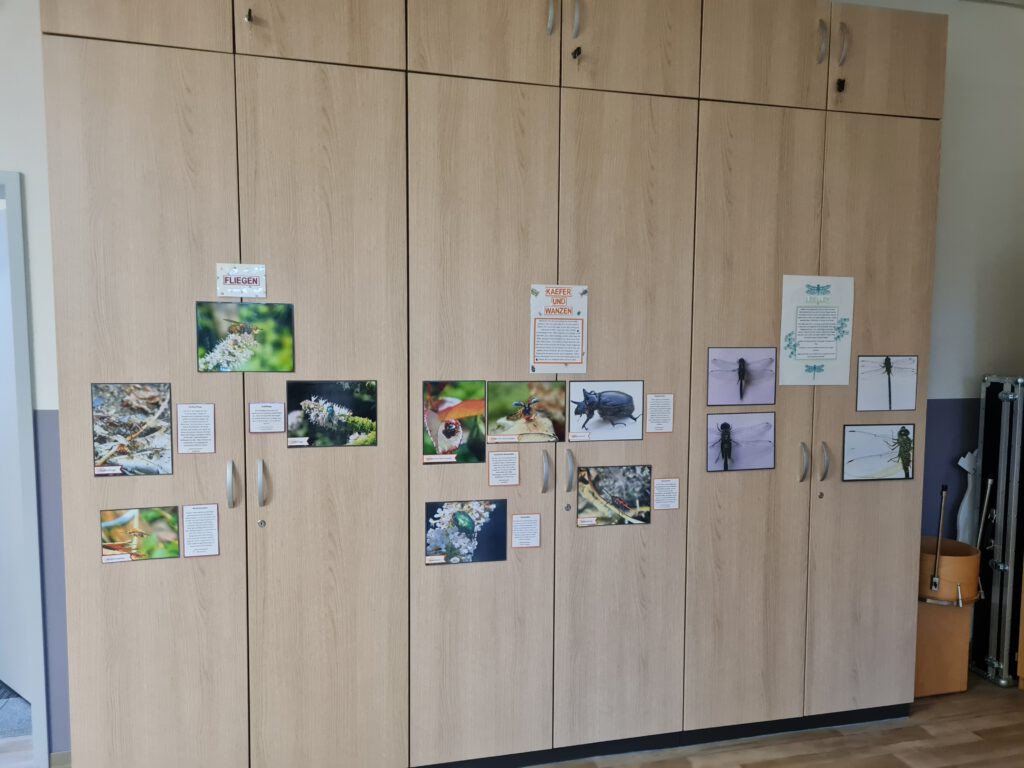 Umwelttag, Pflanzaktion Bienenretter, Förderverein Grundschule Rengshausen, Papierlala