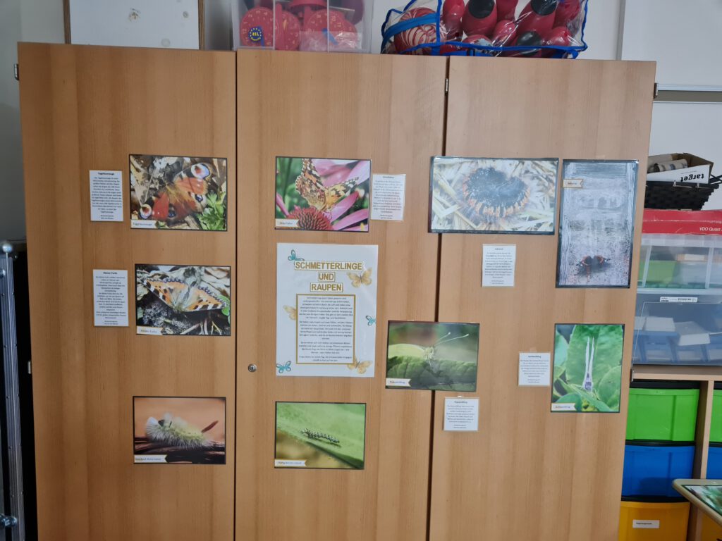Umwelttag, Pflanzaktion Bienenretter, Förderverein Grundschule Rengshausen, Papierlala