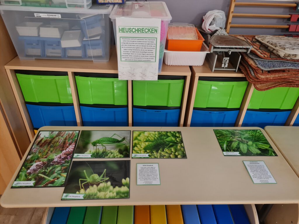 Umwelttag, Pflanzaktion Bienenretter, Förderverein Grundschule Rengshausen, Papierlala