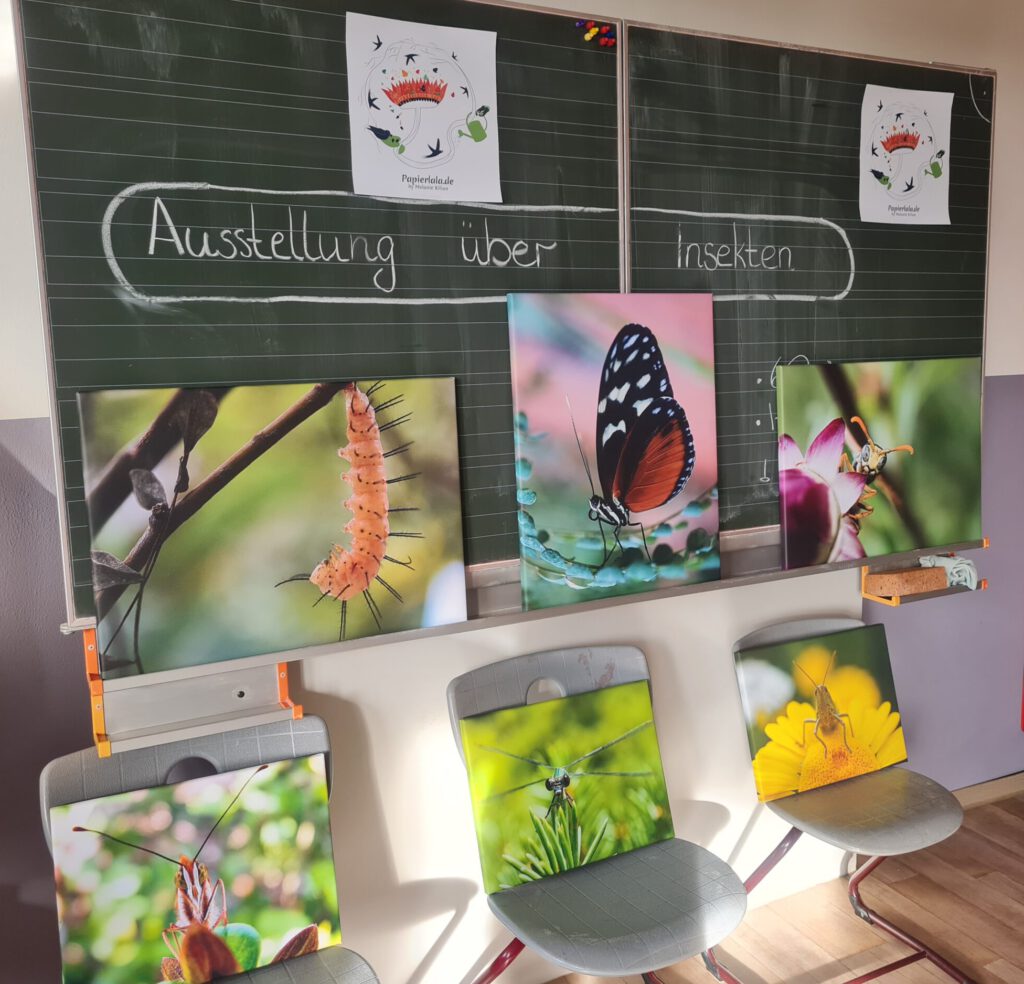 Umwelttag, Pflanzaktion Bienenretter, Förderverein Grundschule Rengshausen, Papierlala